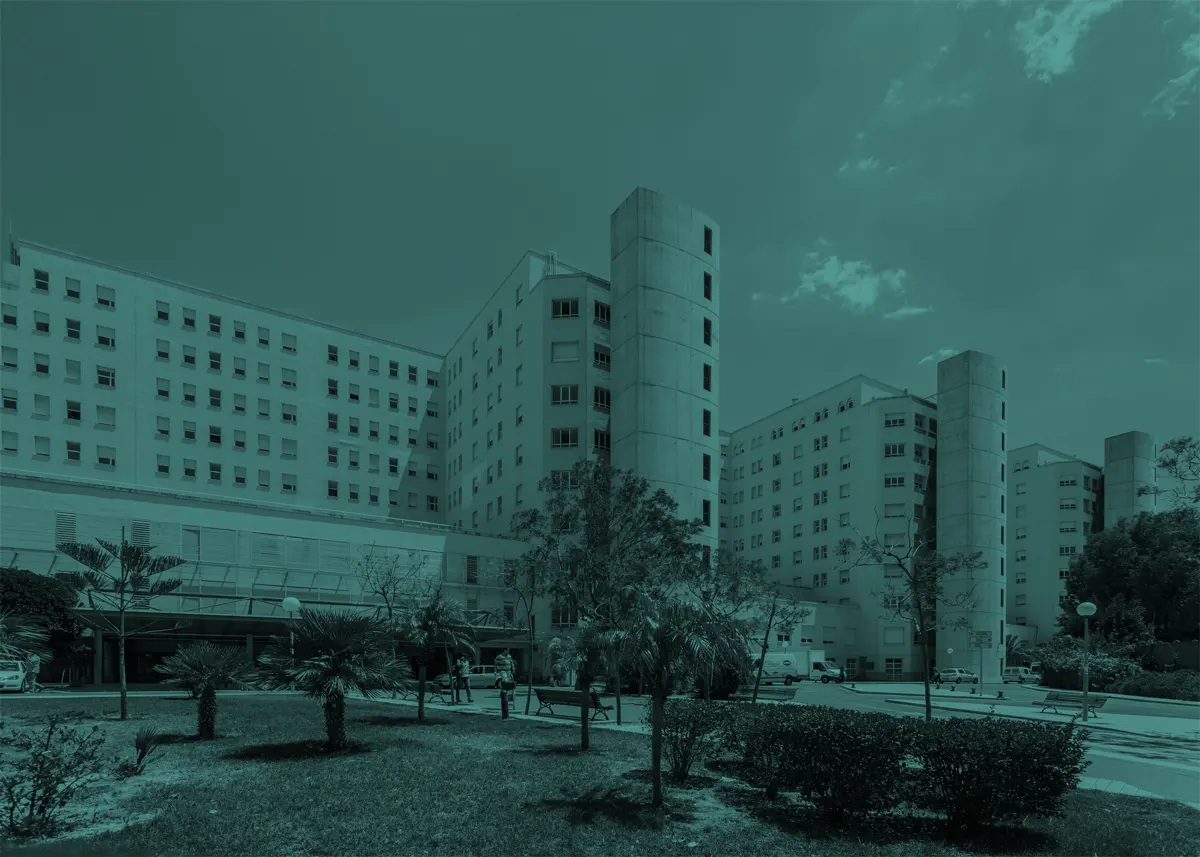 XXXII Reunio?n Extraordinaria de SVC en Alicante 6 Junio 2025